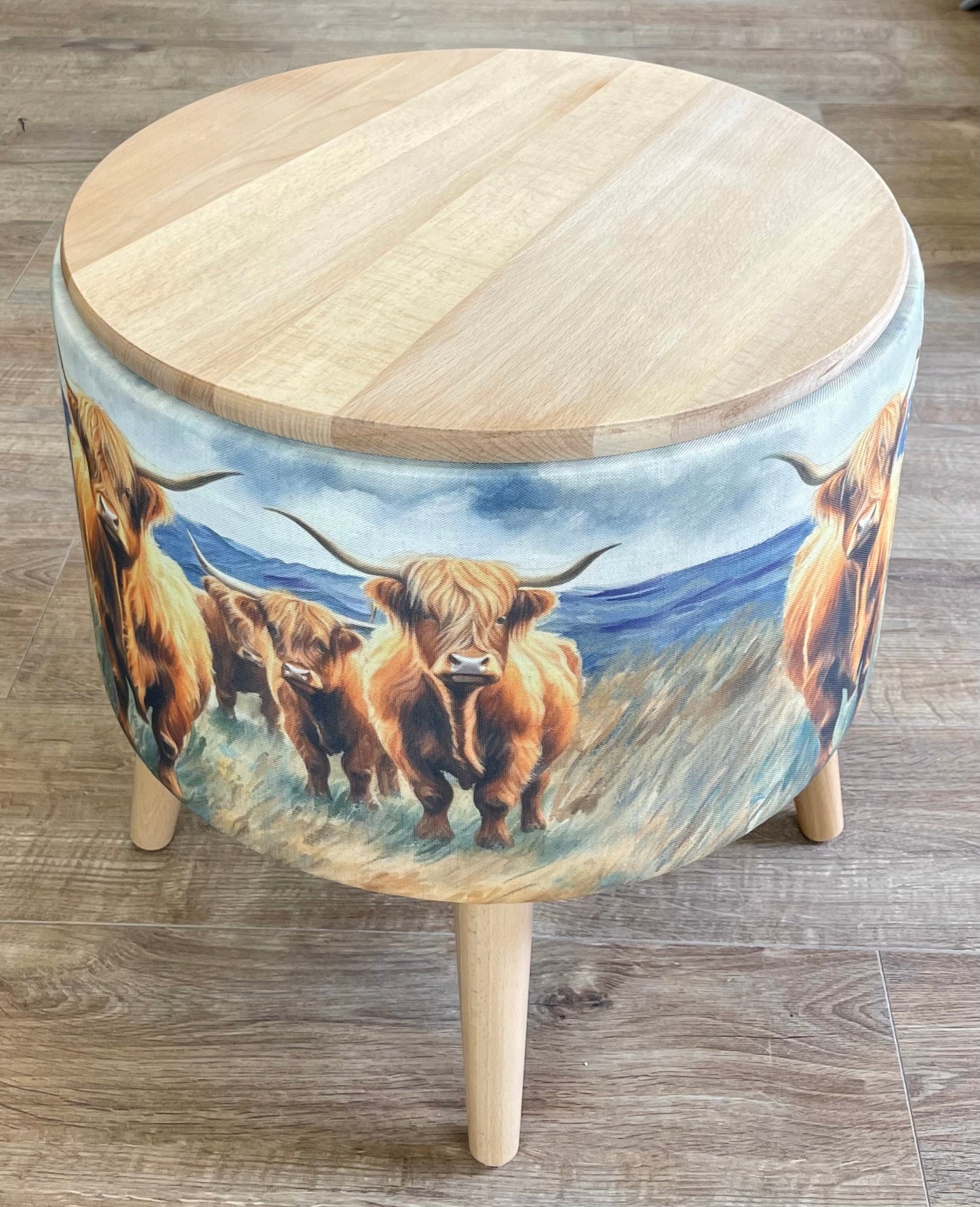 Highland Cows by the Sea End Table